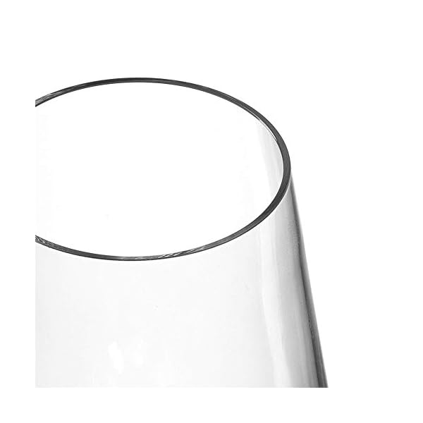 LEONARDO HOME PUCCINI Set 6 Digestifglas, Glas, klar, 6 Stück (1er Pack), 12 – Bild 8