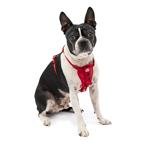 Kurgo Dog Harness | Car Harness for Dogs | Small | Red | Pet Safety Seat Belt | Certified Crash Tested Harness | Car Seatbelt | Tru-Fit Enhanced Strength Style