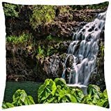 Waimea Falls Oahu Hawaii - lush green rain forest and waterfall - Rainy man Pillow Cover Case (18" x 18")