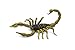 Safari Ltd  Hidden Kingdom Insects Scorpion