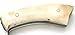 Wild Turkey Handmade Real Camel Bone Handle Fixed Blade Skinner Knife w/Leather Sheath (Bone)