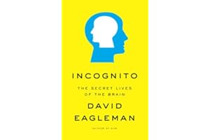 Incognito: The Secret Lives Of The Brain
