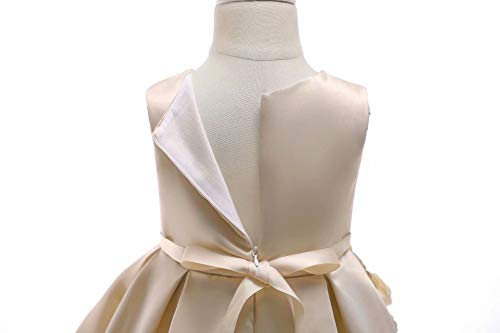 AYOMIS Girl Dress Princess Gowns Party Flower Christmas Wedding Dresses(Champagnge,5-6Y)