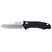 Firebird Knife F710 by Ganzo G710 Pocket Folding Hunting Knife G10 Handle SS Blade