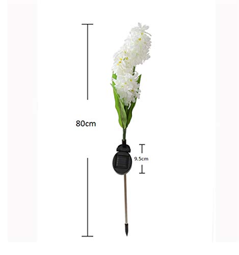 3 Hatop+Hyacinth+Powered+Backyard+Decorations