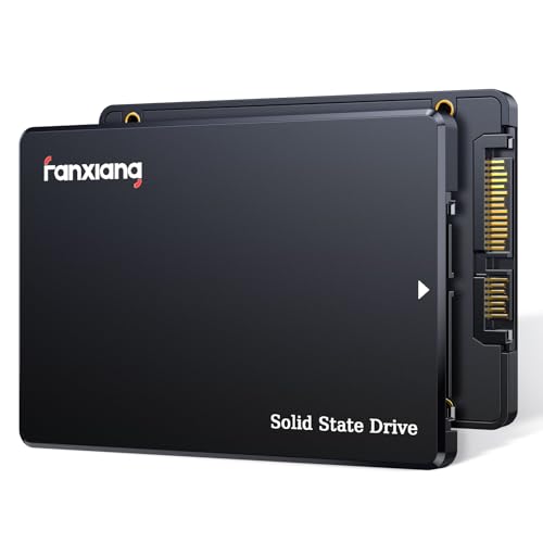 fanxiang S101Q SATA SSD