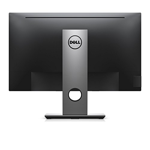 DELL Professional 23.8-Inch Screen LED-lit Monitor (P2417H)