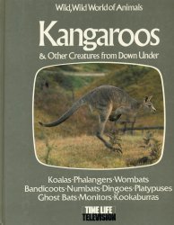 Wild, Wild World of Animals: Kangaroos & Other Creatures from Down Under
