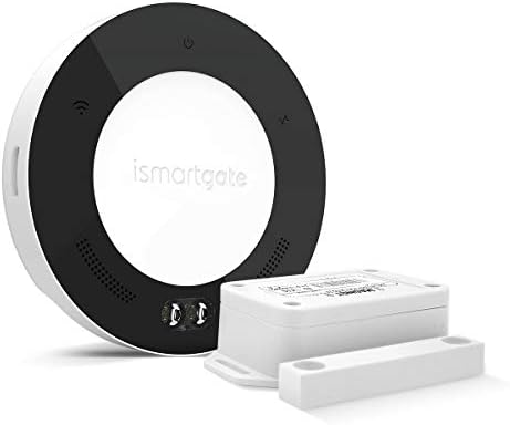 gogogate 2 google home