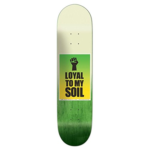 Chocolate Skateboard Deck Tershy Sign of the Times 8.5"