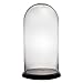 CYS EXCEL Glass Cloche Dome With Black Wood Base (H:20