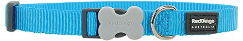 Red Dingo Classic Turquoise Dog Collar, Small/12mm