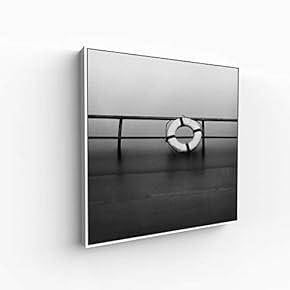 Canvas Wall Art for Living Room, Bedroom Silence Framed Canvas Prints for Home Decoration Ready to Hang - 16x16 inches