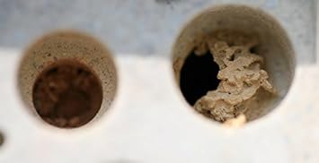 Nido de ladrillos Bee Hotel abejas Colmena Casa 21,5 cm x 10,5 cm ...
