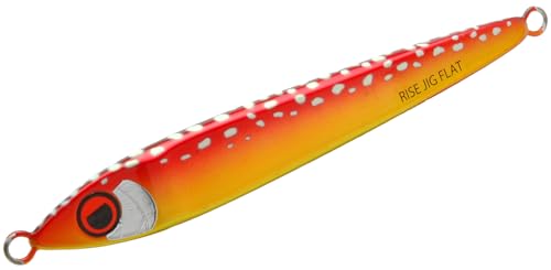 ライズジャパン(RISE JAPAN) ライズジグ フラット 225g RJ10 イカグロードット