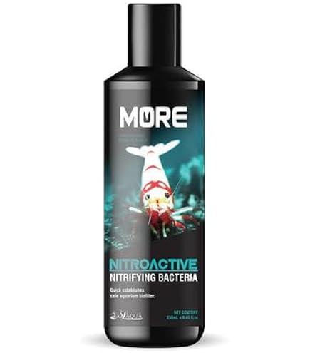 LIQUID RIDDIM 7枚 ① Turtle & Liquid Ooze Filled 7