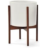 Case Study Ceramic Planter with Wood Stand - Small - White