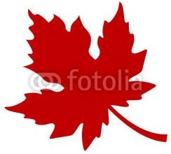Maple 3 (79119610), Aluminium-Dibond, 100 x 80 cm