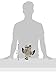 All for Paws Assorted Lamb Cuddle Birds Toy for Dogs, 10-Inch