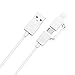 iTECHOR 2IN1 Lightning Micro USB Cable Charging Cord for iPhone 5S,iPad,iPod and Android-White