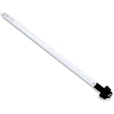 Technical Precision C/D/D4 602805 IHS12-d4 602805 B29-I Lamp 40 2-Pack | B29-I 4 Pin Large Round with Barriers &middot; Clear Finish