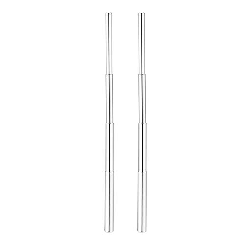Yliquor Portable Stainless Steel Telescopic Drinking Straw Travel Straw Reusable Straw Stylish Simplicity (2 Pcs)