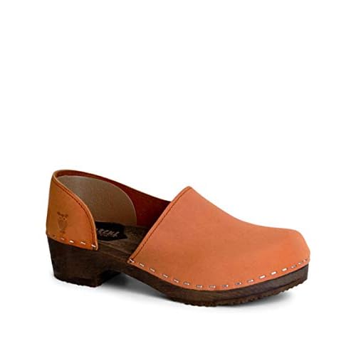 closed back wooden clogs