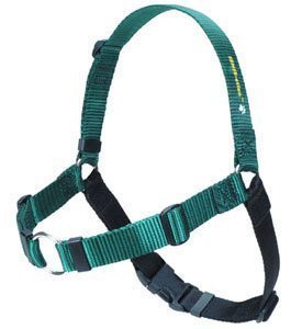 Sense-Ation Harness Softouch No Pull Dog Harness Green Large