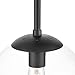 Light Society Zeno Globe Semi Flush Mount Ceiling Light, Clear Glass with Black Finish, Contemporary Mid Century Modern Style Lighting Fixture (LS-C176-BK-CL)