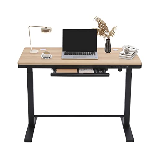 FARRAY Electric Standing Desk with Drawer, 45 x 24 Inch Adjustable