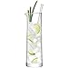 LSA International G1386-39-200 Gin Cocktail Jug and Stirrer, Clear