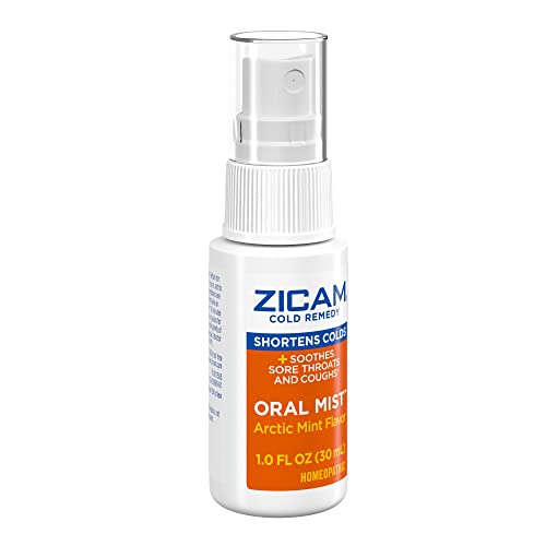 ZICAM COLD REMEDY ZINC ARCTIC MINT ORAL MIST, 1 OUNCE