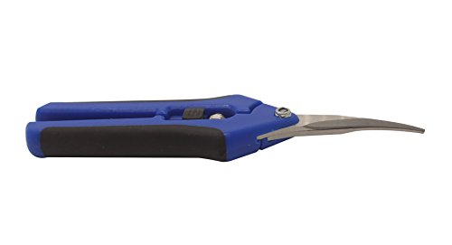 Angoo Trimming Scissors, 2 Pack Gardening Hand Pruner Pruning Shear with Curved Titanium Precision Blades(Blue)