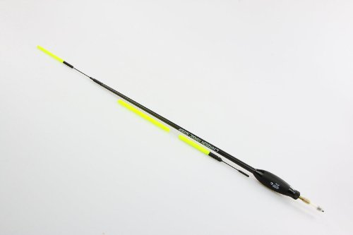 Exner Carbon Magic Slider 10g Waggler Angelwaggler Pose Schwimmer Angelpose
