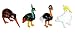 Looking Glass Miniature Collectible - Kiwi / Peacock / Ostrich / Cockatoo (4-Pack)