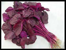 Creative Farmer Red Spinach Seeds - Vegetable Seeds For Home : Kitchen Garden Pack