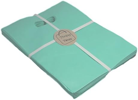 Thrifty Totes 100 Cute Teal Plastic Merchandise Bags 9x12 Small Retail Shopping Bags Extra Strength 2.5mil with Matte Finish