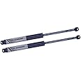 Tuff Support (Set of 2 Pieces) Convertible Deck Lid Folding Top Cover Lift Supports Fits BMW 3 Series - Model Years Below