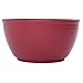 Bloem PB12-12 Dura Cotta Planter Bowl, 12-Inch, Union Red