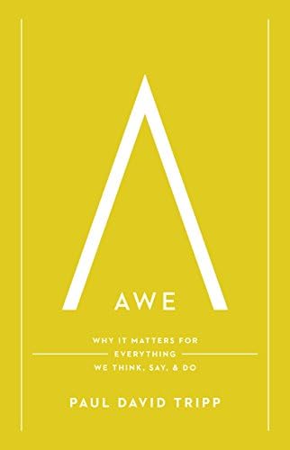 Awe: Why It Matters for Everything We Think, Say, and Do Hardcover – 31 Oct 2015