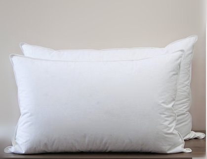 Rose Feather a pair White Duck Down Pillows,2 Pillows 100% Downproof Cotton 233TC,White,20x30inch,Queen size