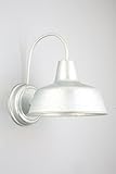 Design House 520965 Mason 1 Light Indoor/Outdoor Wall Light, Galvanized Steel Finish (Tools &amp; Home Improvement)
