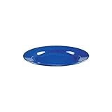 Coleman 10-In. Enamel Plate