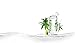 COCOXIM Organic Pure Coconut Water, USDA Certified Organic, Non-GMO, All Natural - 11.2 once (330ml), (Pack of 12)