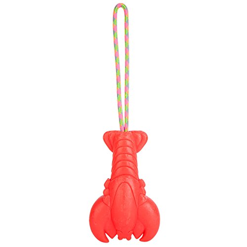 Sunnylife-Underwater-35mm-Camera-w-Detachable-Waterproof-Casing-Wrist-Strap