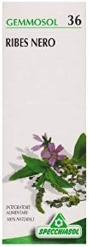 olii naturali di ribes nero