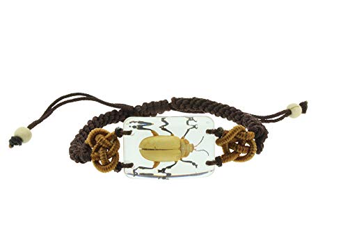 Stunning Bug Bracelet - Black Legged Leaf Beetle