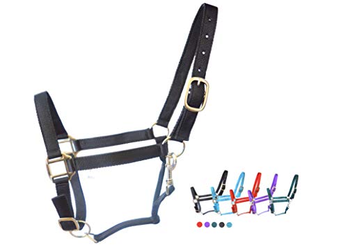 Westride Nylon Adjustable Horse Halter (Black, Full)