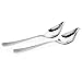 IMEEA Saucier Drizzle Gravy Spoon for Dressing Decorating with Tapered Spout SUS304 Stainless Steel 8.8inch, Set of 2