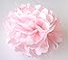 Furuix 9 pcs White Navy Pink 10inch Tissue Paper Pom Pom Paper Lanterns for Nautical Party Decorations Navy Blue Themed Party Wedding, Baby Shower Decoration Navy & Pink Nursery Room Decoration